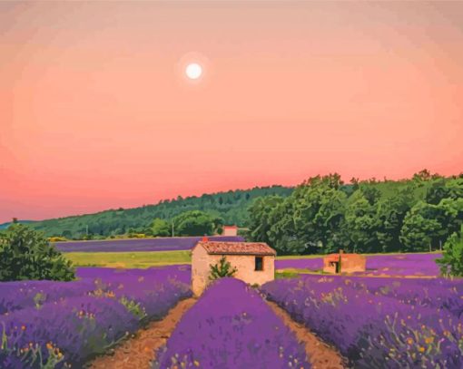 Aesthetic Cottage And Lavender Field paint by number