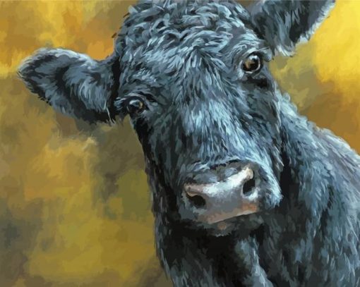 Black Angus Cow paint by number