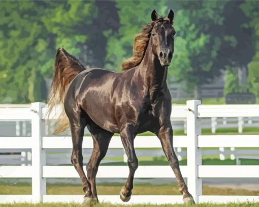 Black Fox Trotter Horse paint by number