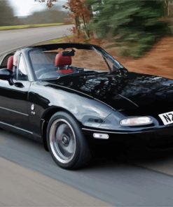 Black Mx5 Mk1 Car paint by number