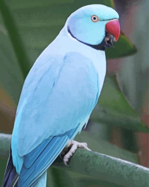 Blue Indian Ringneck Paint by number