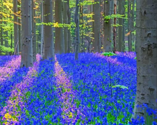 Bluebell Wood Nature paint by number