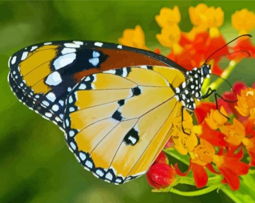 Butterfly With Orange Flowers paint by number