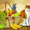 Cat And Fruits In Basket paint by number