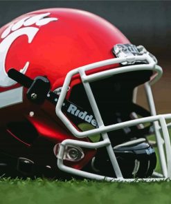 Cincinnati Bearcats American Football Team Helmet paint by number