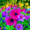 Colorful Flowers Garden paint by number