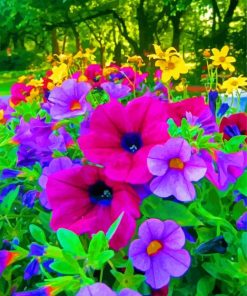 Colorful Flowers Garden paint by number