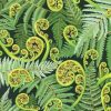 Green koru Art paint by number