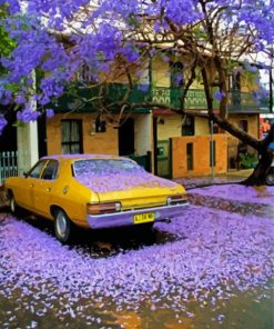 Jacaranda Tree And Yellow Car paint by number