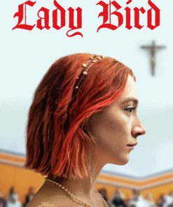 Lady Bird Movie paint by number