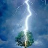 Lightning Thunder Tree paint by number