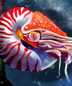 Nautilus Animal Art paint by number