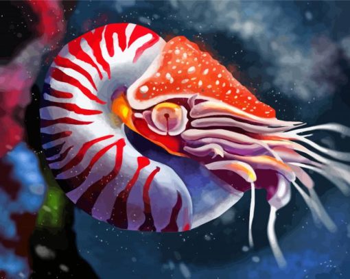 Nautilus Animal Art paint by number