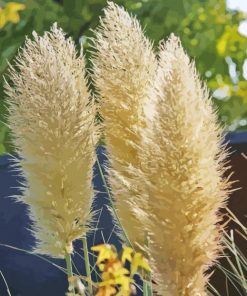 Pampas Grass Plant paint by number