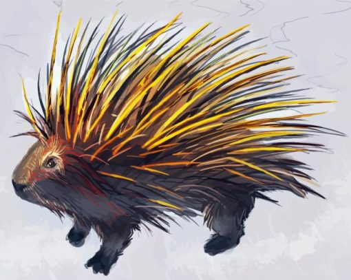 Porcupine Art paint by number