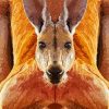 Red Kangaroo Animal paint by number