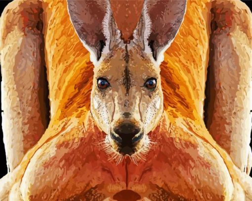 Red Kangaroo Animal paint by number