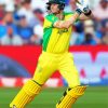 Steve Smith Australian Cricketer paint by number