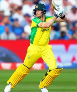 Steve Smith Australian Cricketer paint by number