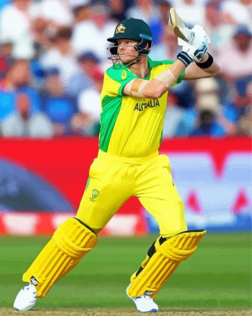 Steve Smith Australian Cricketer paint by number