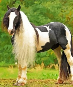 Tinker Horse paint by number