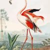 Vintage Flamingo paint by number