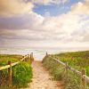 Walkway To Beach paint by number