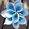 White Blue Calla Lilies Flowers paint by number