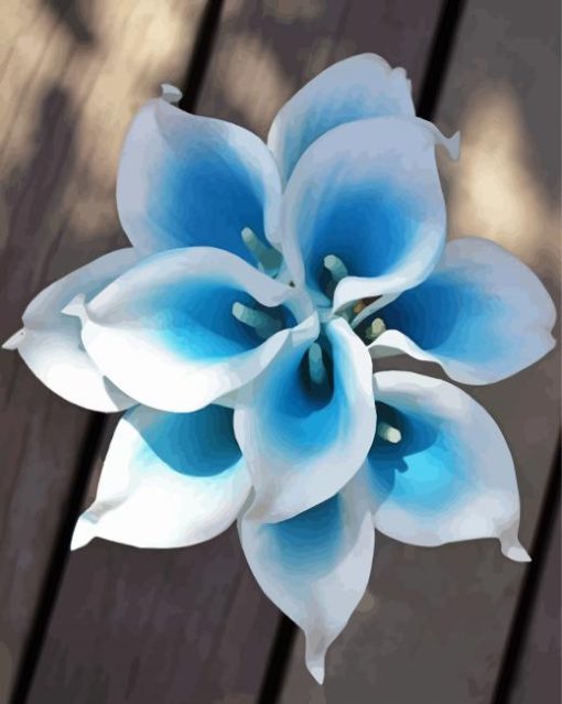 White Blue Calla Lilies Flowers paint by number