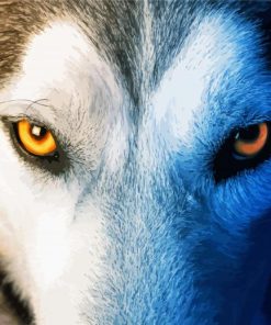 Yellow Wolf Eyes paint by number