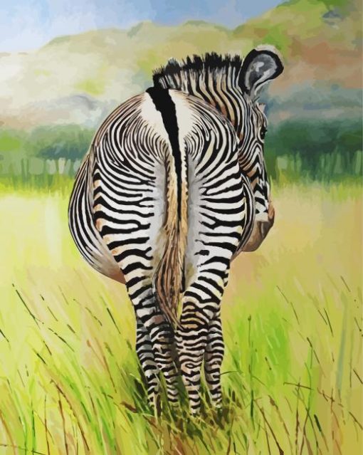 Zebra Butts Illustration paint by number