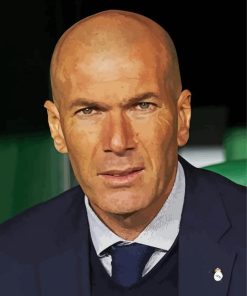 Zinedine Zidane paint by number