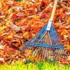 Aesthetic Raking Leaves paint by number