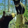 Aesthetic Black Bear With Cub paint by number