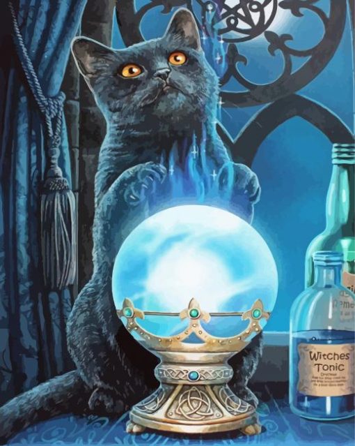 Aesthetic Black Cat With Crystal Ball paint by number