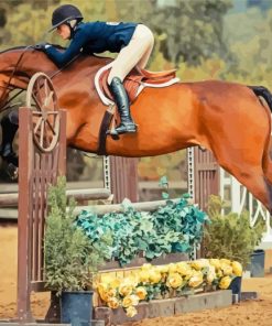 Aesthetic Hunter Jumpers paint by number