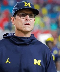 Aesthetic Jim Harbaugh paint by number