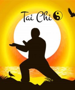 Aesthetic Tai Chi paint by number