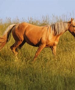 Aesthetic Tan Horse paint by number