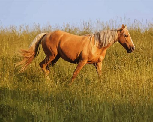 Aesthetic Tan Horse paint by number