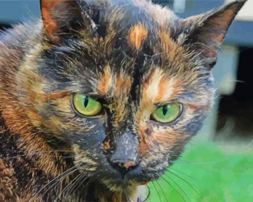 Aesthetic Tortoise Shell Cat paint by number