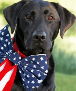 Aesthetic Black Lab With Flag paint by number