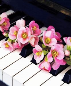 Aesthetic Pink Flowers And Piano paint by number