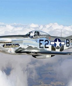 Aesthetic Warbirds paint by number