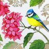 Aesthetic Bird With Hydrangea paint by number