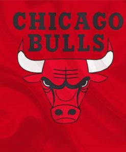 Basketball Logo Bulls paint by number