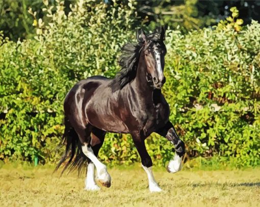 Black English Plow Horse paint by number