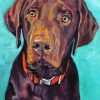 Brown English Labrador Dog paint by number