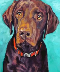 Brown English Labrador Dog paint by number