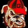 Bulldog With Hat paint by number